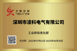 22-專(zhuan)精(jīng)特新(xin)&ldquo;小(xiǎo)巨人(ren)&rdquo;齊(qi)業